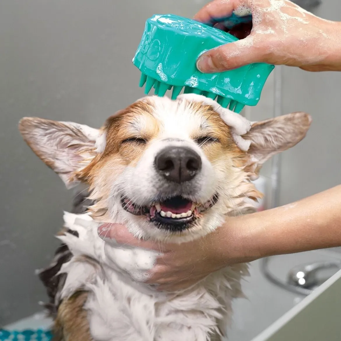 KONG ZoomGroom® Bubbles L