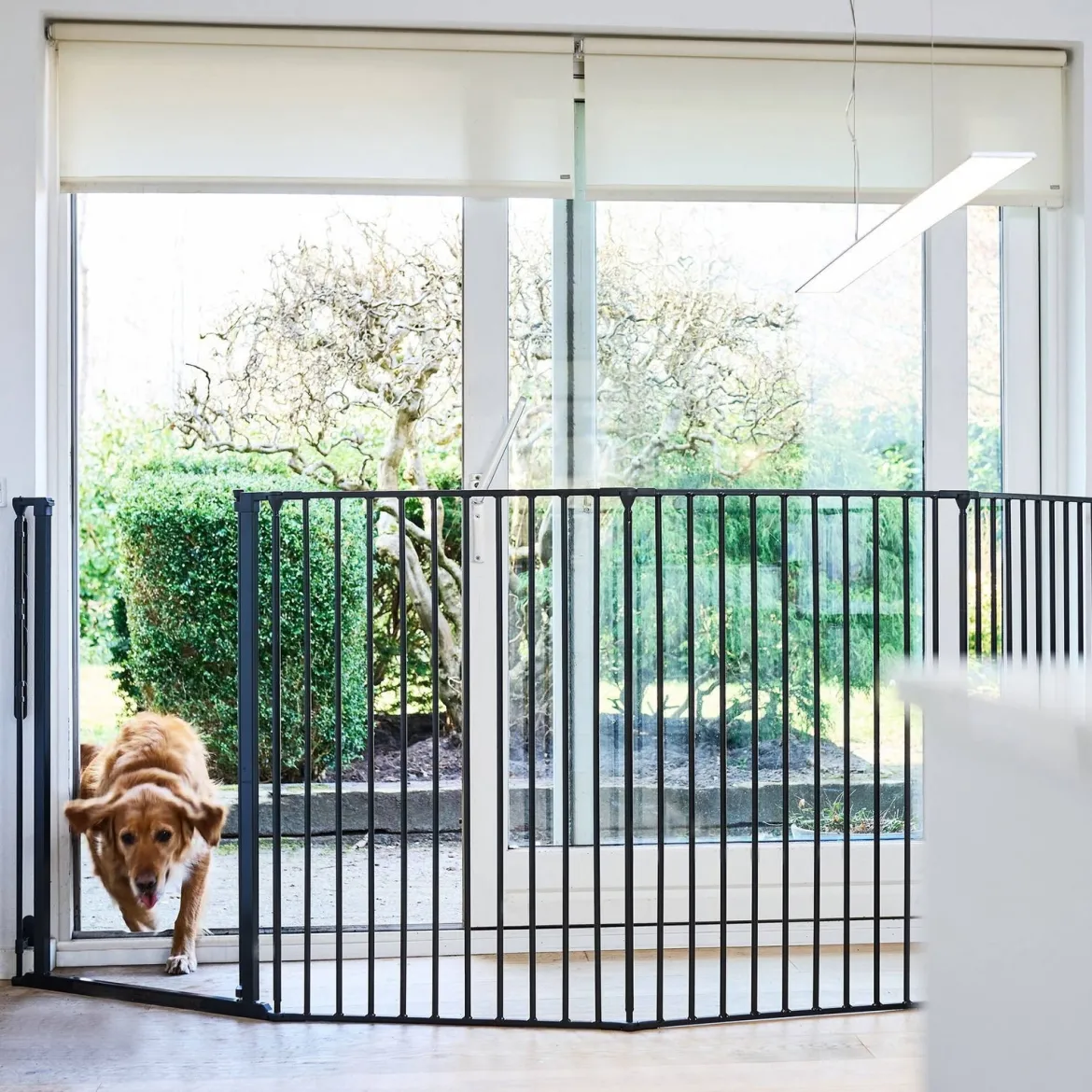 Korkea ja säädettävä koiraportti DogSpace Rocky, musta 90-221 x 104,5 cm