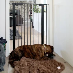 Korkea koiraportti DogSpace Bonnie 73,5-79,6 x 104,5 cm