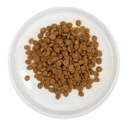 Kotikissa Sissi 1,4 kg