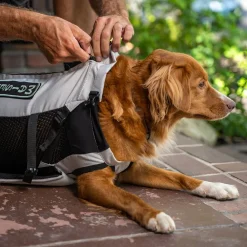 K9 Sport Sack Knavigate, Harmaa
