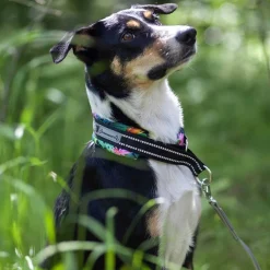 Kusse&Kutta extraleveä lycra-panta, tropiikki