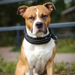 Kusse&Kutta extraleveä panta, musta kimalle