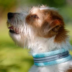 Kusse & Kutta extraleveä panta, merivesi kimalle