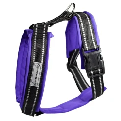 Kusse&Kutta-koiran valjaat softshell-pehmusteella, violetti