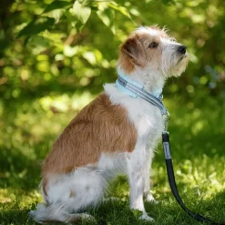 Kusse&Kutta kotimainen grip-hihna BGB-lukolla, 300 cm