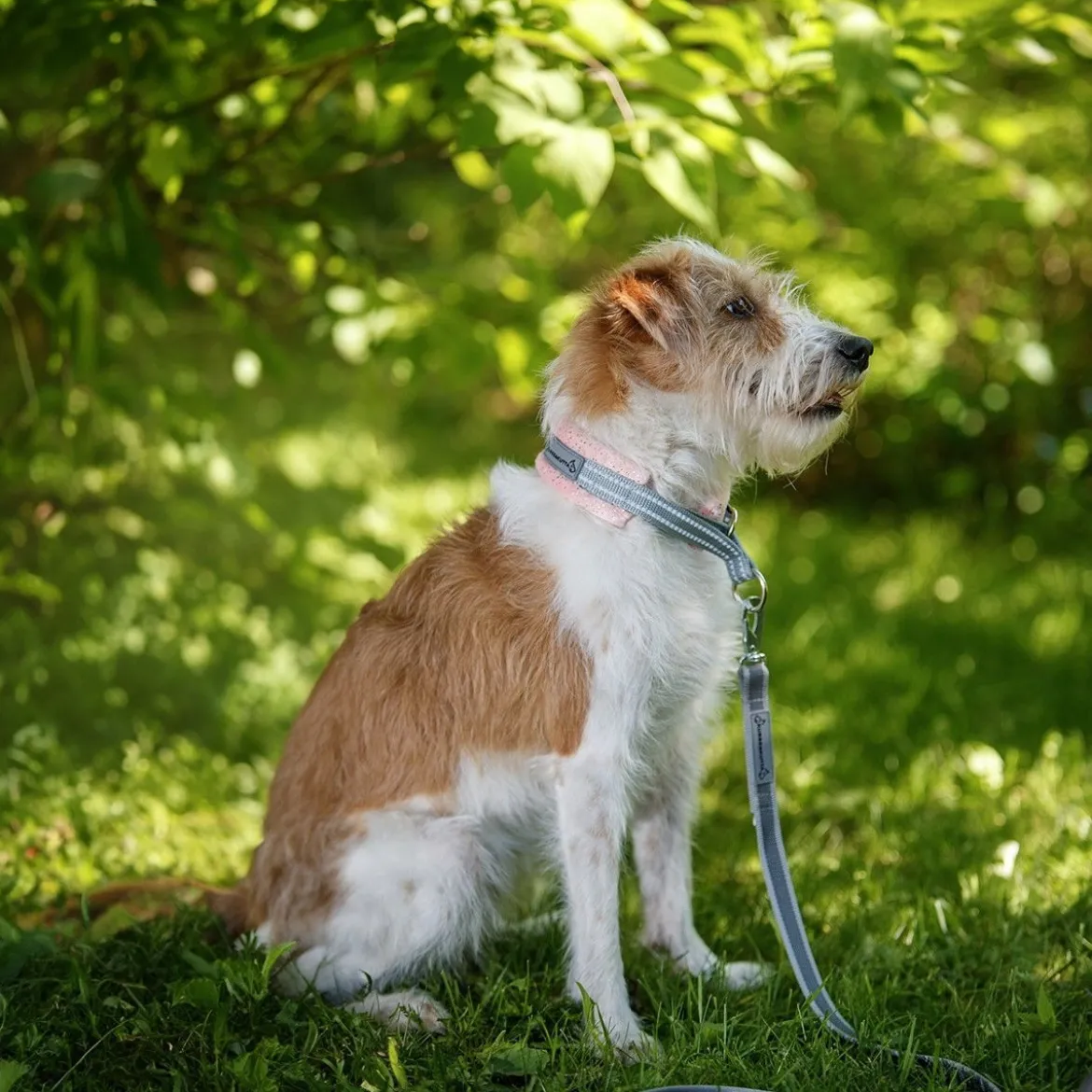 Kusse&Kutta kotimainen grip-hihna BGB-lukolla, 300 cm