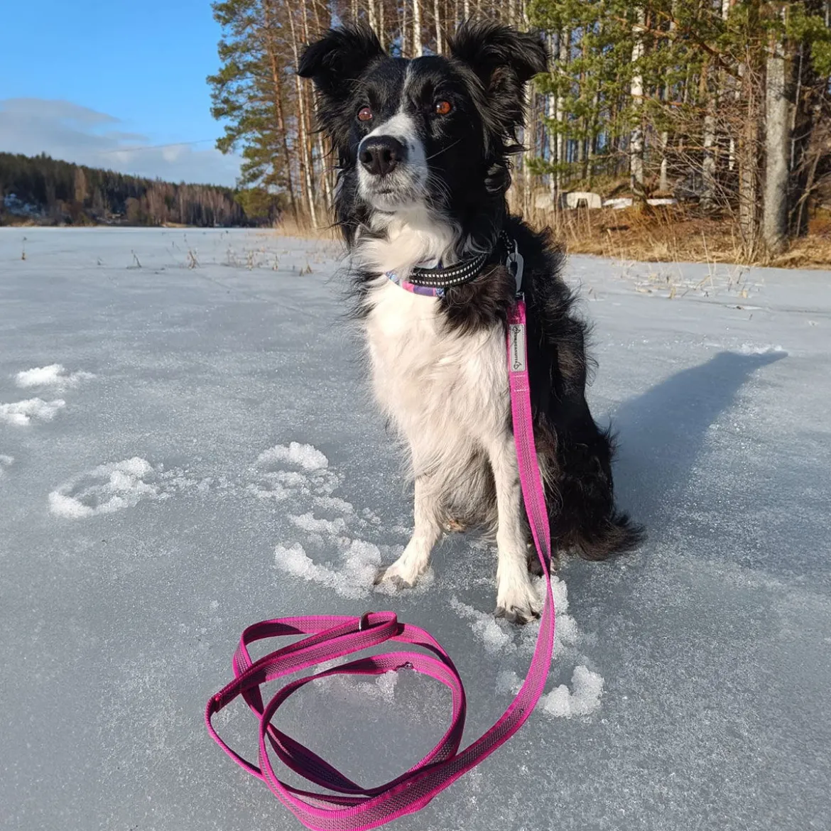 Kusse&Kutta kotimainen grip-hihna BGB-lukolla, 300 cm