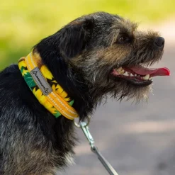 Kusse&Kutta puolikiristävä panta, auringonkukka