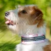 Kusse & Kutta puolikiristävä panta, hento ruusu