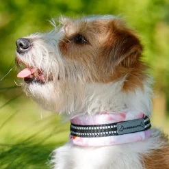 Kusse & Kutta puolikiristävä panta, hento ruusu