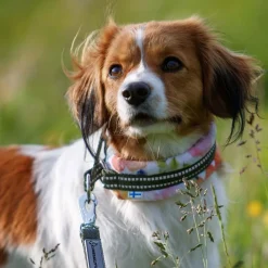 Kusse&Kutta puolikiristävä pehmopanta, puutarhakukat