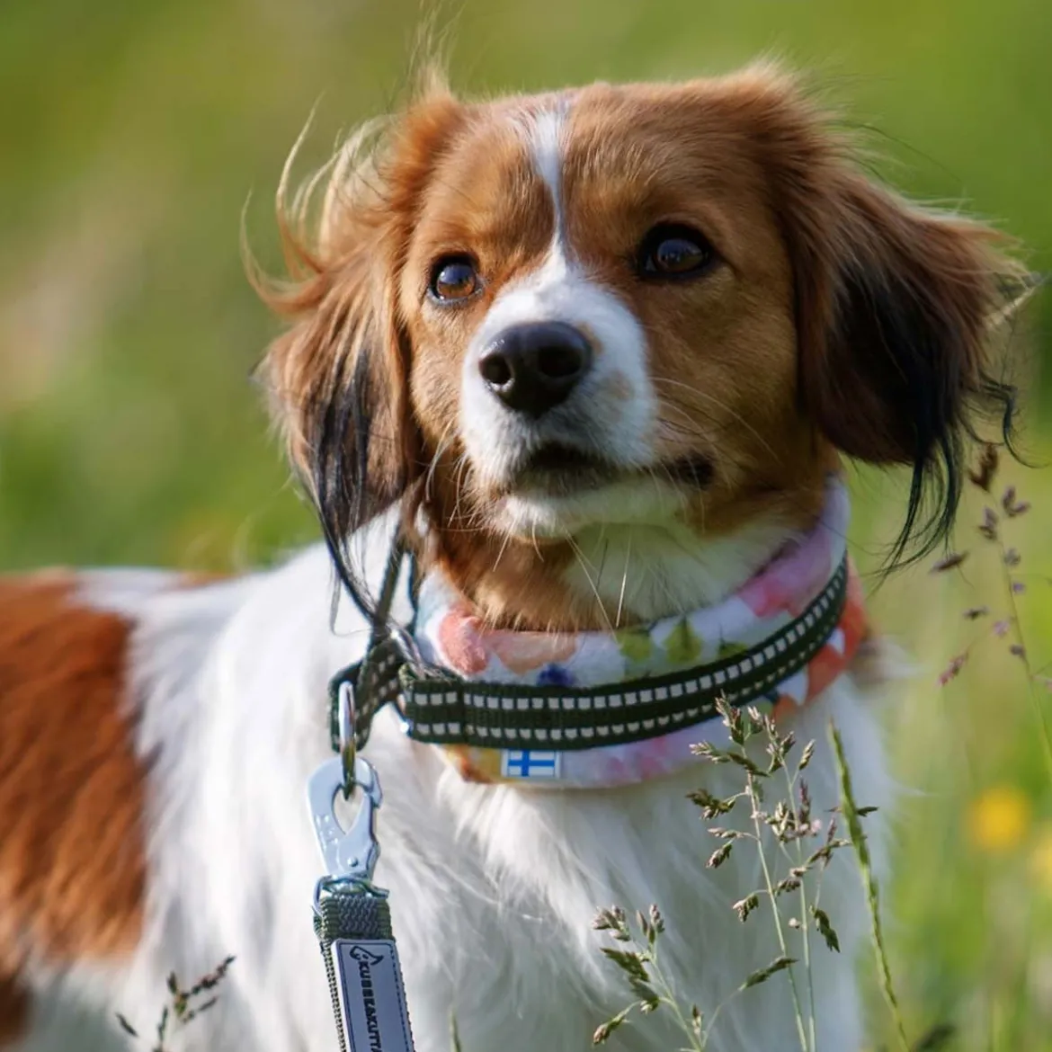 Kusse&Kutta puolikiristävä pehmopanta, puutarhakukat
