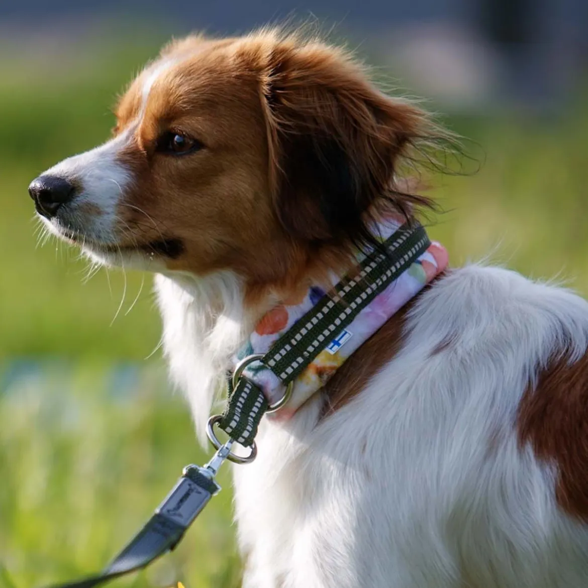 Kusse&Kutta puolikiristävä pehmopanta, puutarhakukat
