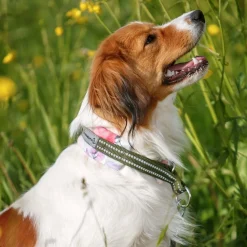 Kusse&Kutta puolikiristävä pehmopanta, puutarhakukat