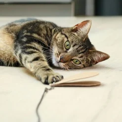 Lelut I Love Happy Cats Connor-kissanonkeen 3 kpl