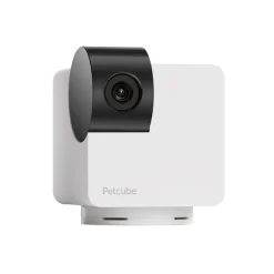 Lemmikkikamera PetCube Cam 360