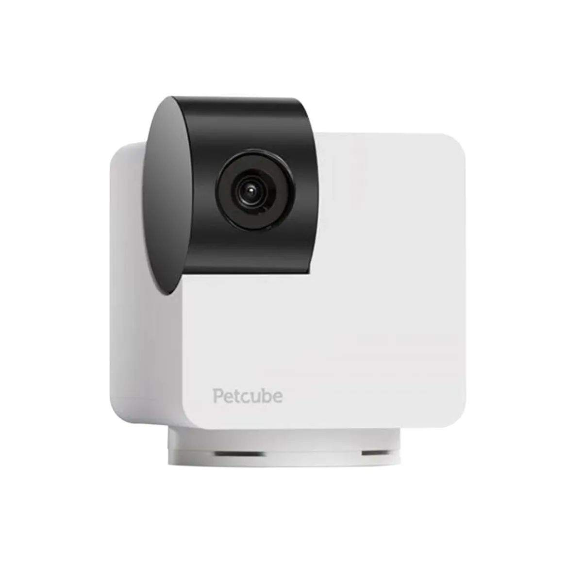 Lemmikkikamera PetCube Cam 360