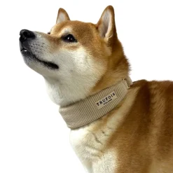 Leveä kaulapanta Trufois, latte beige