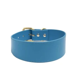 Leveä solkipanta Collar of Sweden, neonsininen