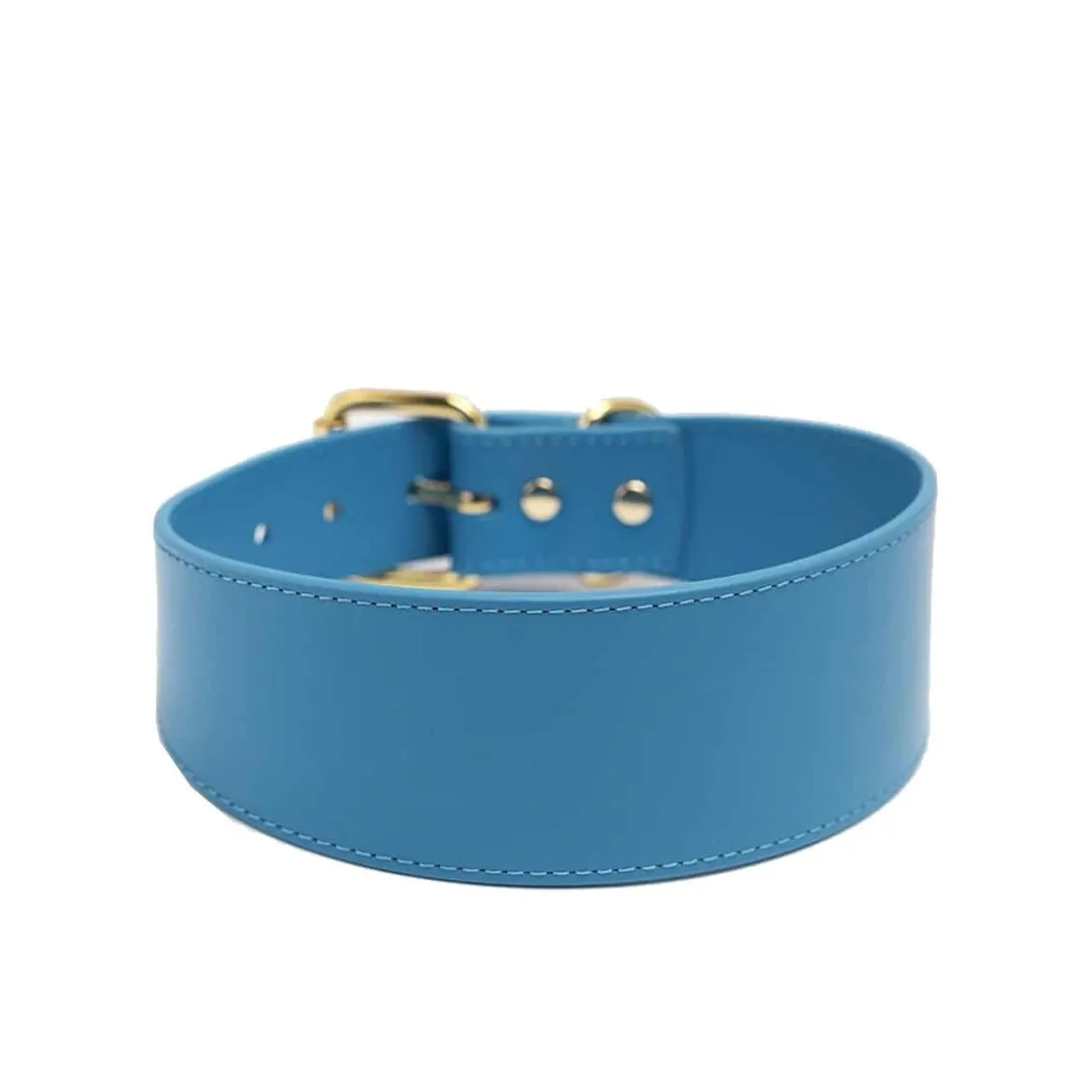 Leveä solkipanta Collar of Sweden, neonsininen
