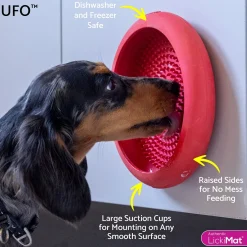 LickiMat UFO nuolumatto imukupeilla
