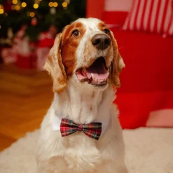 Little&Bigger Festive solmuke ruutukuvio