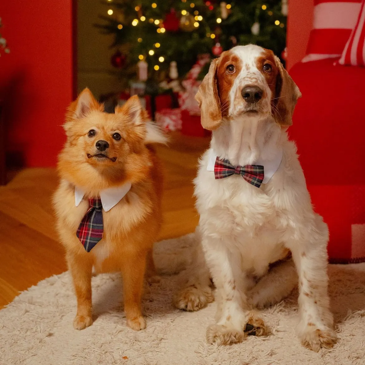 Little&Bigger Festive solmuke ruutukuvio