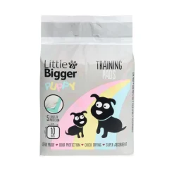 Little&Bigger Puppy Basics Pentualusta koiralle 10kpl 60x60cm