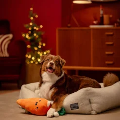 Little&Bigger Xmas Stories XL iloinen porkkana köydellä