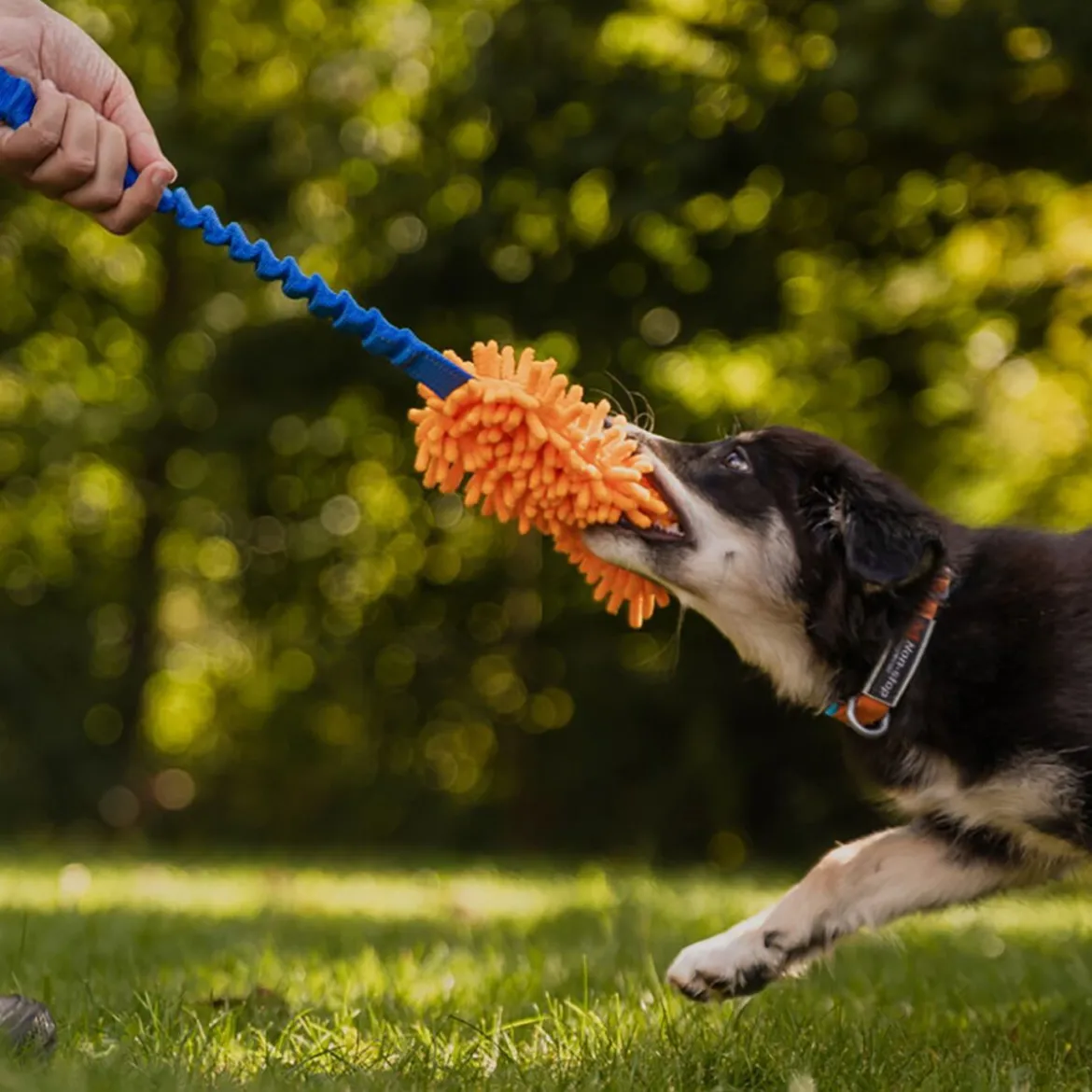 Loype Mopster -vetolelu