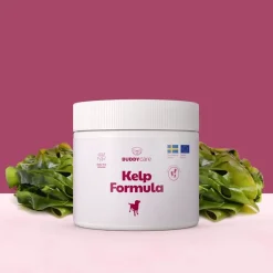 Merilevä koiralle BuddyCare Kelp Formula 250 g