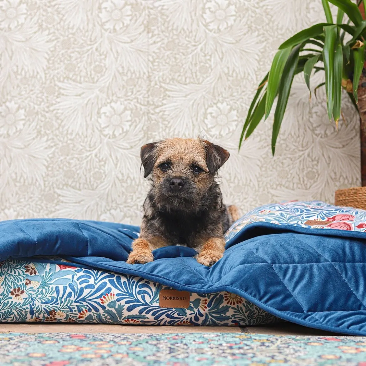 MORRIS & CO peitto Bower