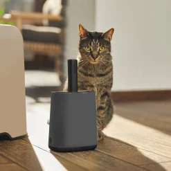 MyPet Biala Kissanhiekkalapioteline
