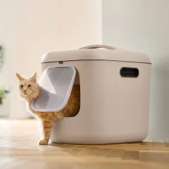 MyPet Biala Kissanvessa XL