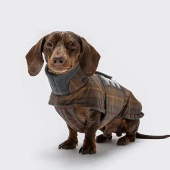 Mäyräkoiran takki Cloud7 Brooklyn Waxed Tartan