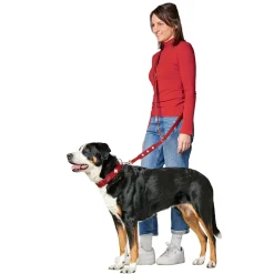 Nahkainen monitoimitalutin Hunter, Swiss Red