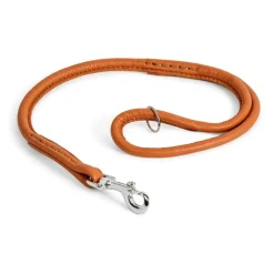 Nahkainen näyttelyhihna Show Dog, 60 cm