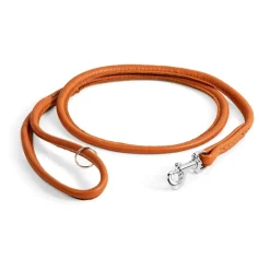 Nahkainen näyttelytalutin Show Dog, 120 cm