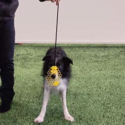 Nenätargetti Loype Nosewand, keltainen