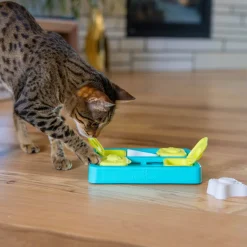 Nina Ottosson Catstages Kitty Cube kissan aktivointilelu