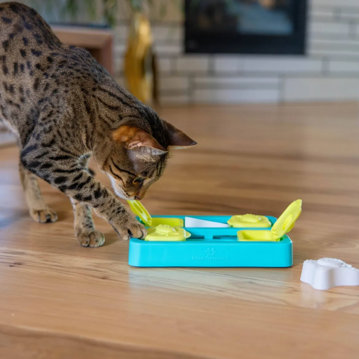 Nina Ottosson Catstages Kitty Cube kissan aktivointilelu