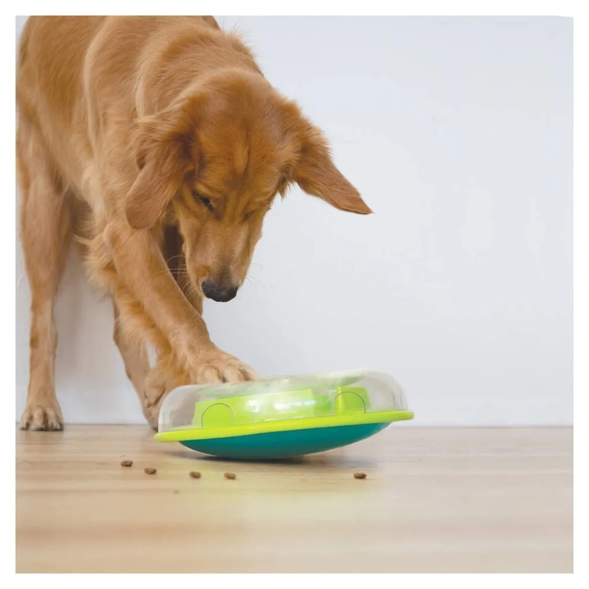 Nina Ottosson Dog Wobble Bowl lime