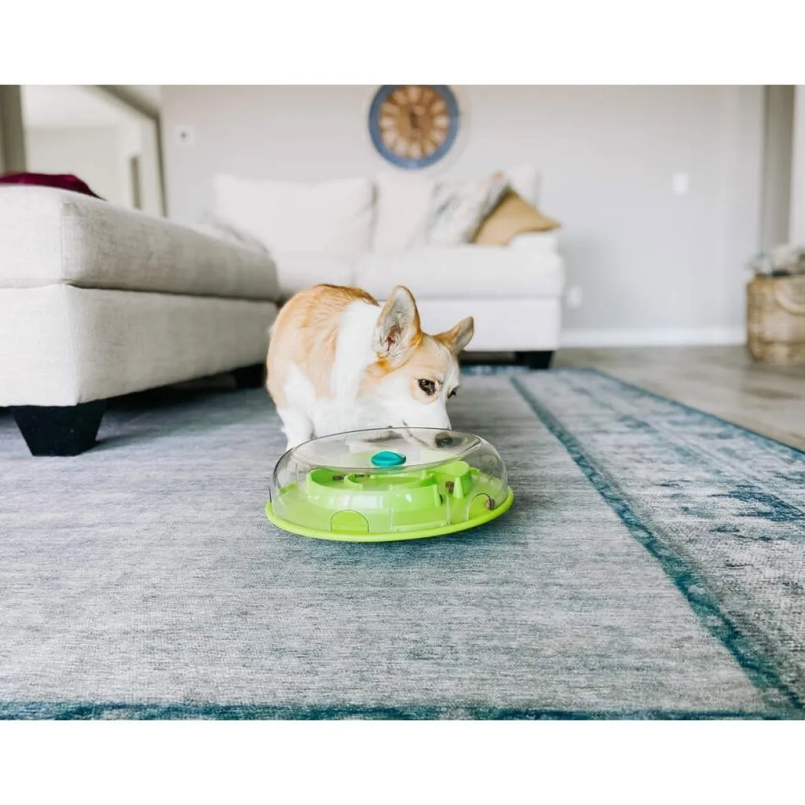 Nina Ottosson Dog Wobble Bowl lime