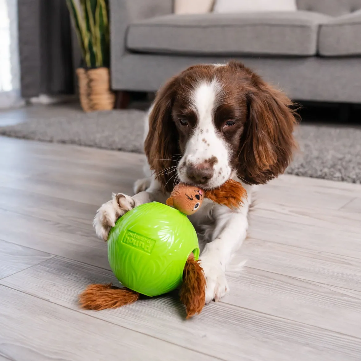 Nina Ottosson Snuffle N’ Treat Ball S