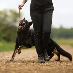 Non-Stop Dog ball on rope