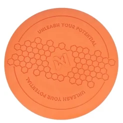 Non-Stop Dog Frisbee