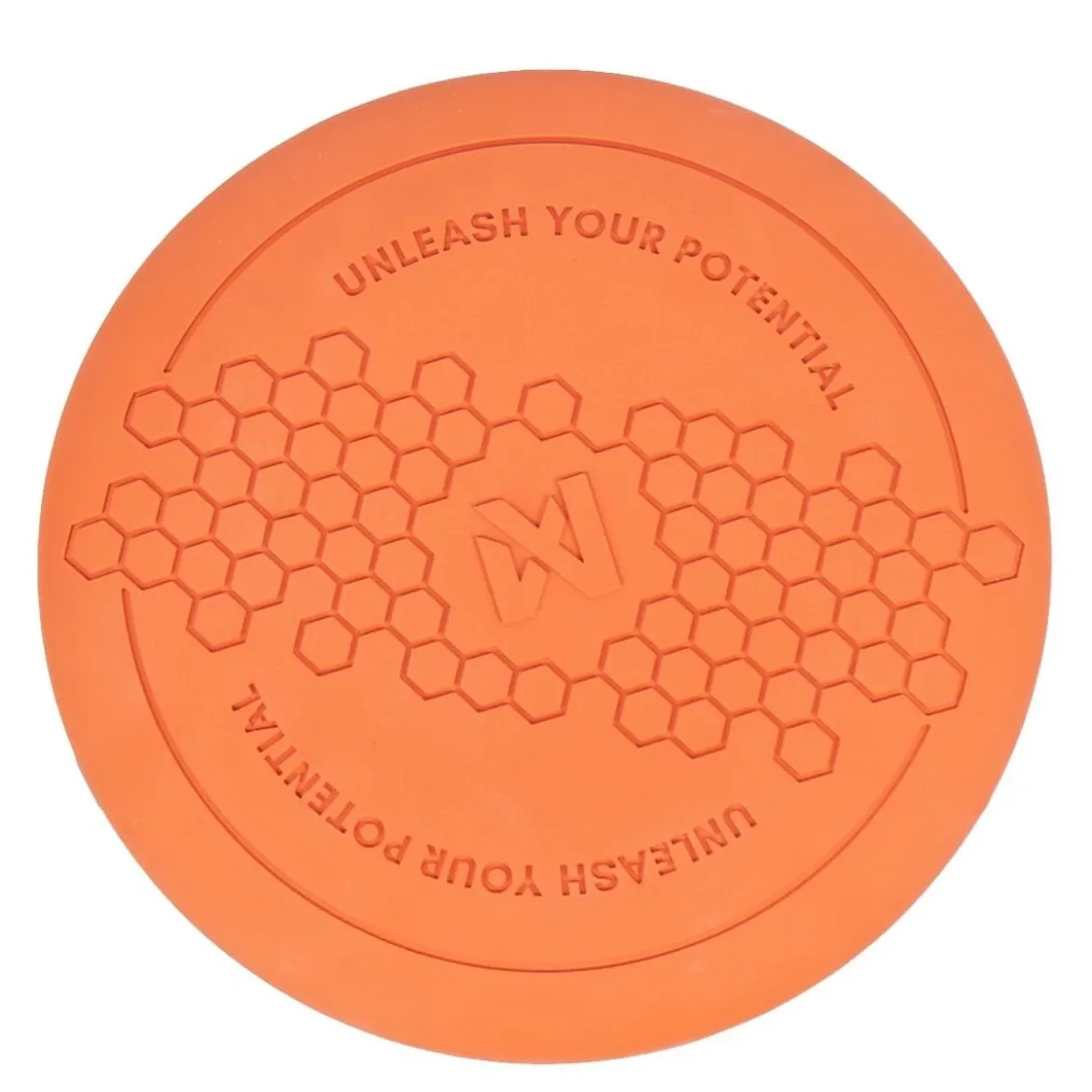 Non-Stop Dog Frisbee