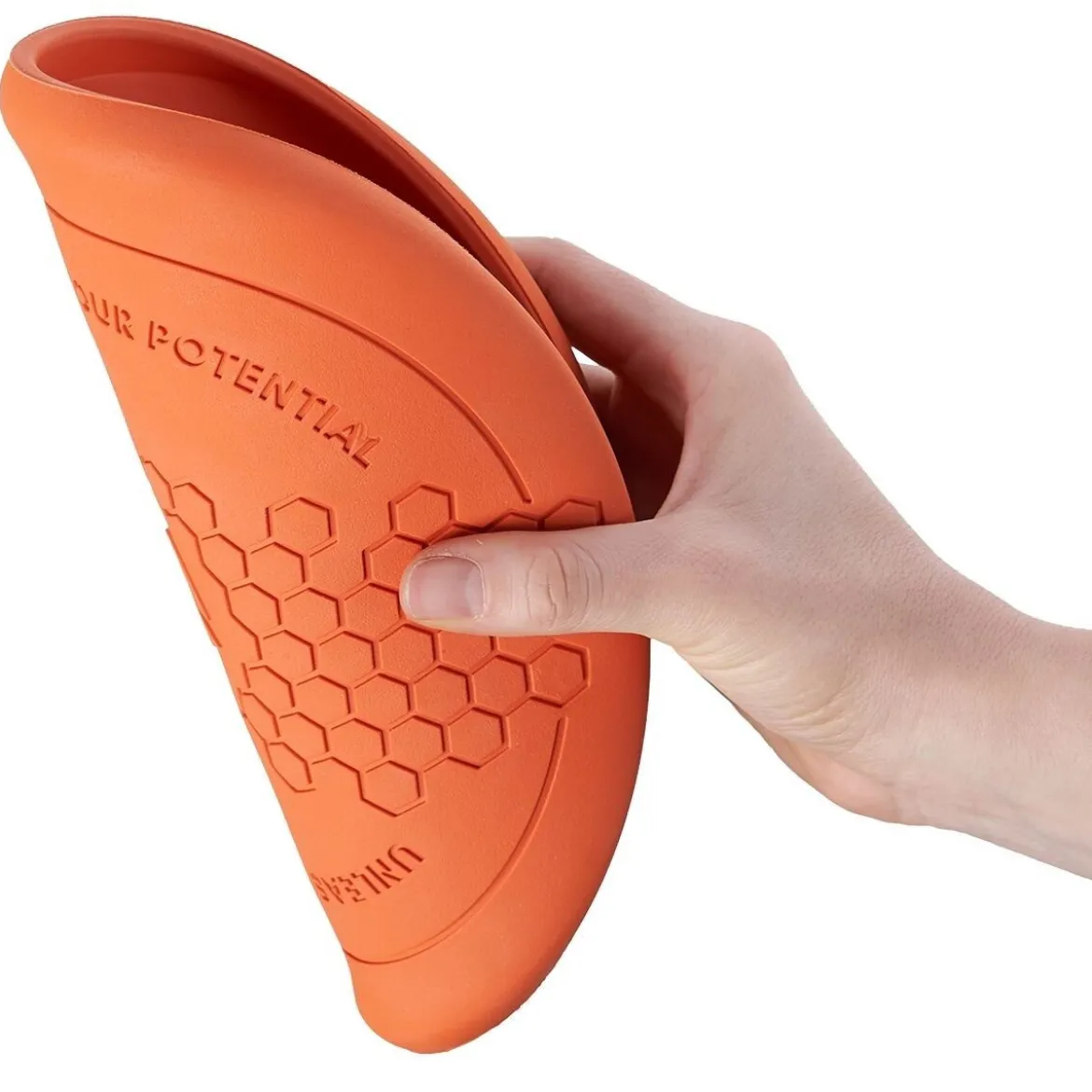 Non-Stop Dog Frisbee