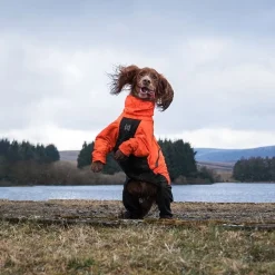 Non-stop dogwear Fjord 2.0 sadehaalari koiralle